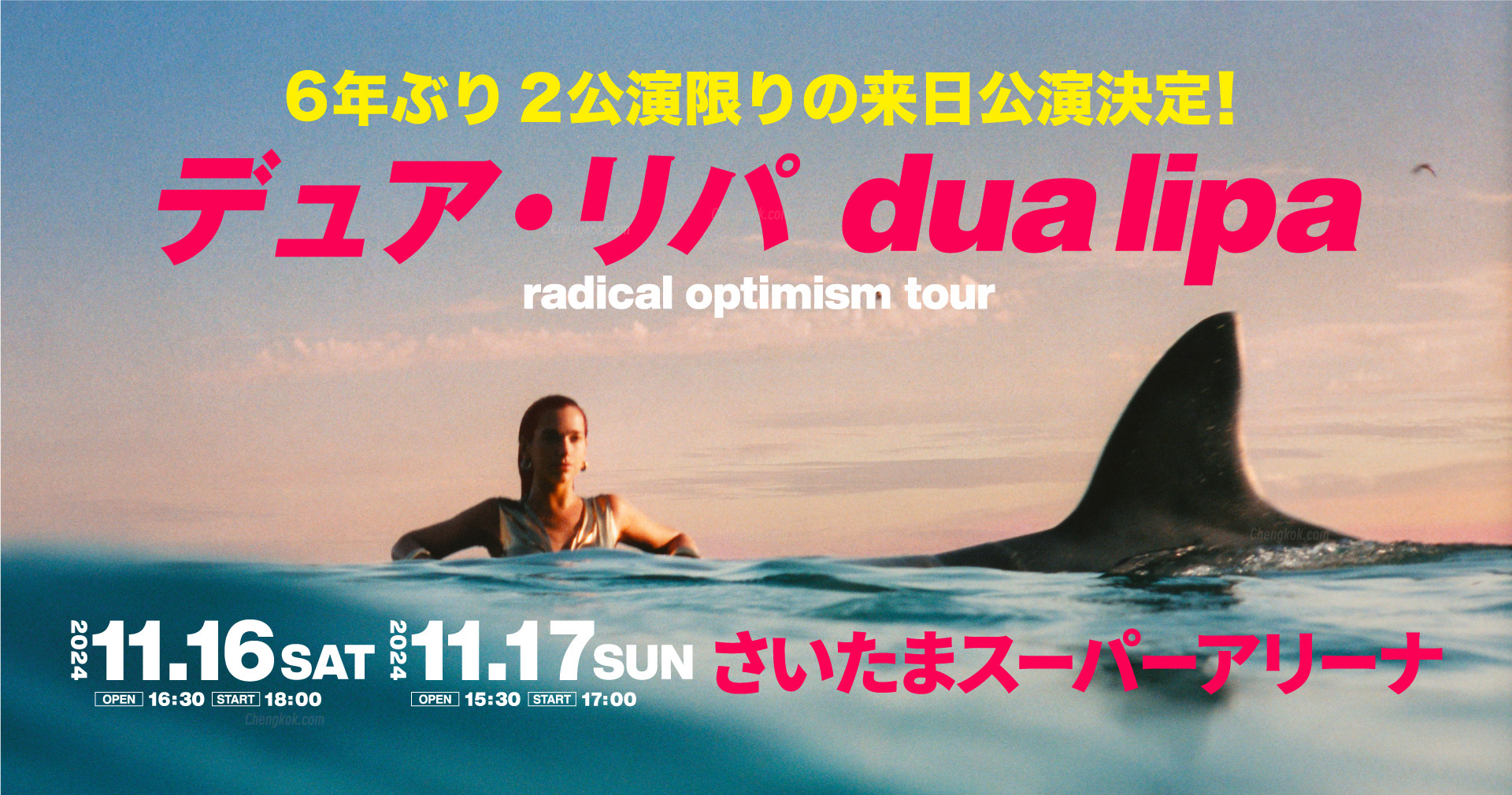 DUA LIPA日本演唱会2024Radical Optimism Tour激进乐观主义门票及座位图指南