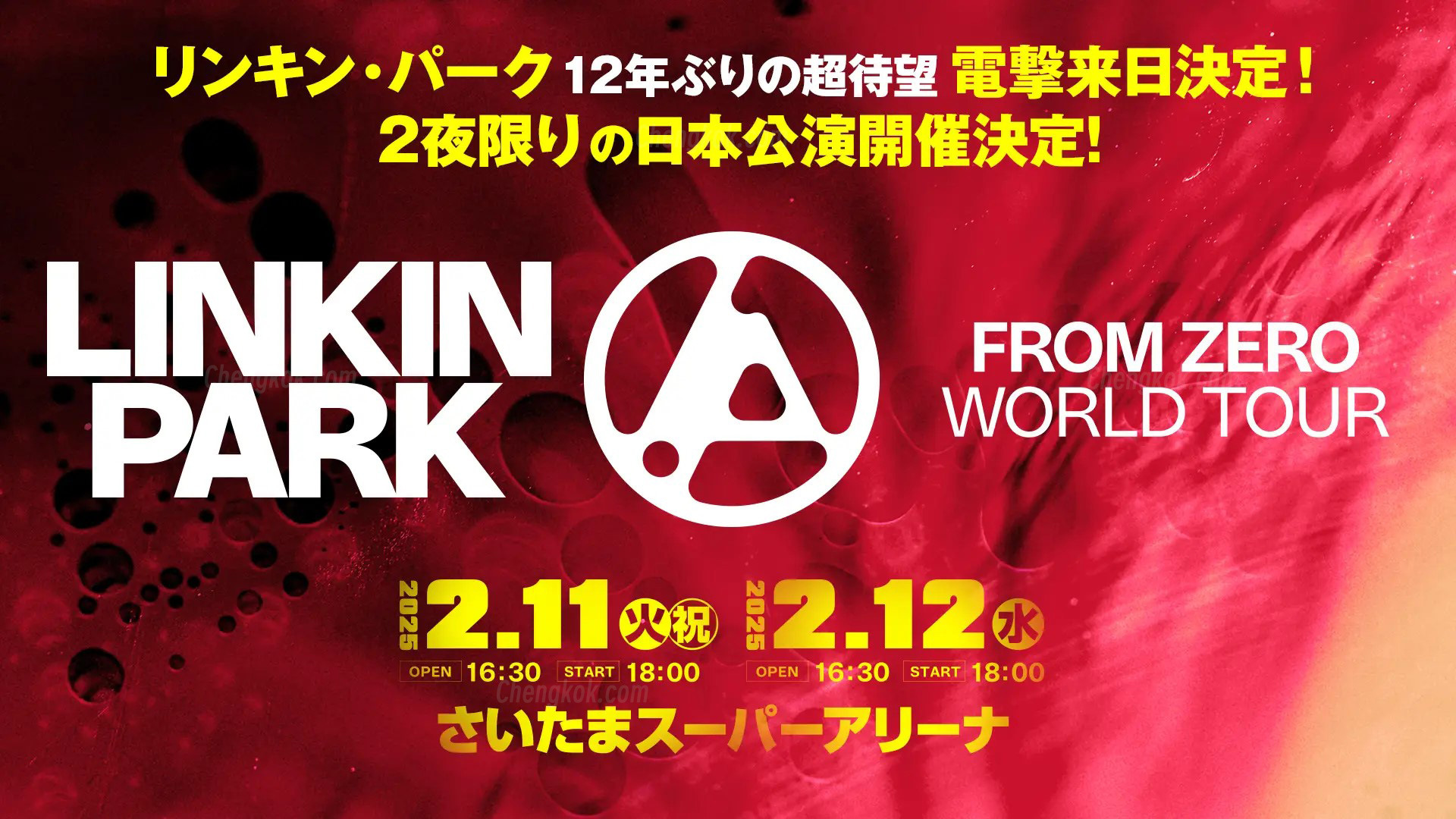 Linkin Park林肯公园日本演唱会